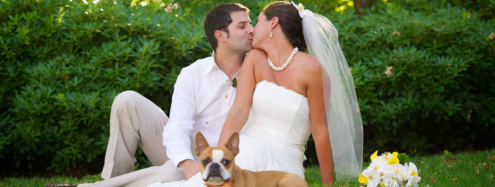 免费ddos在线攻击